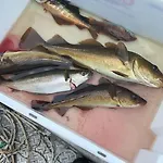 Fjærestua *