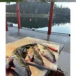 Fjaerestua Hitra