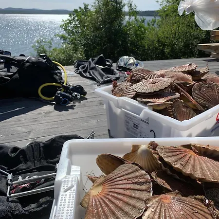 Leilighet Fjærestua