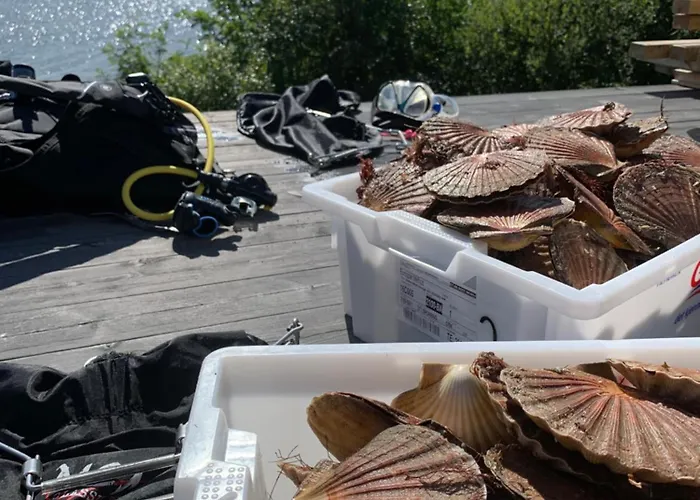 Leilighet Fjærestua